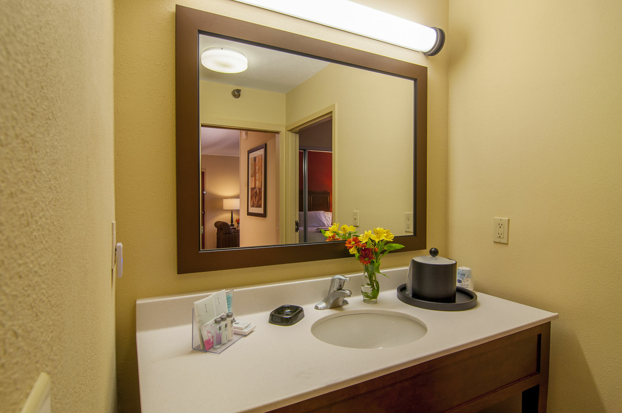 Hampton Inn & Suites Tampa-North Exterior foto