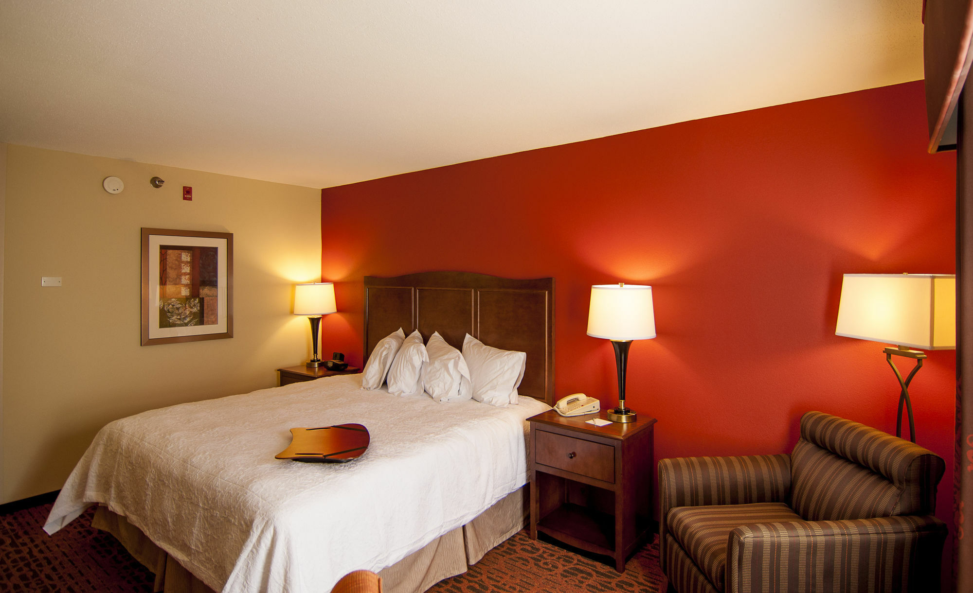 Hampton Inn & Suites Tampa-North Exterior foto